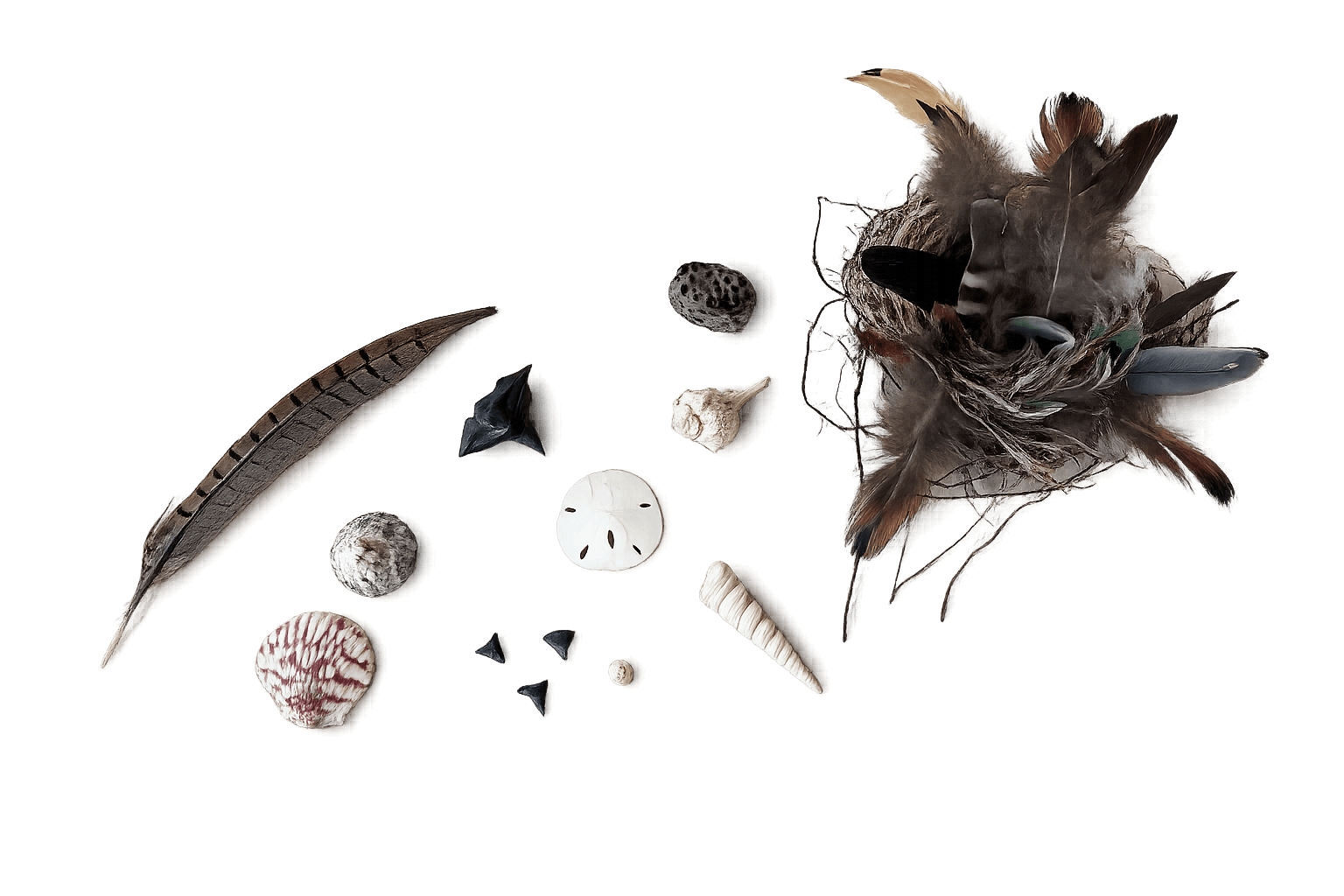 Found Objects Penny